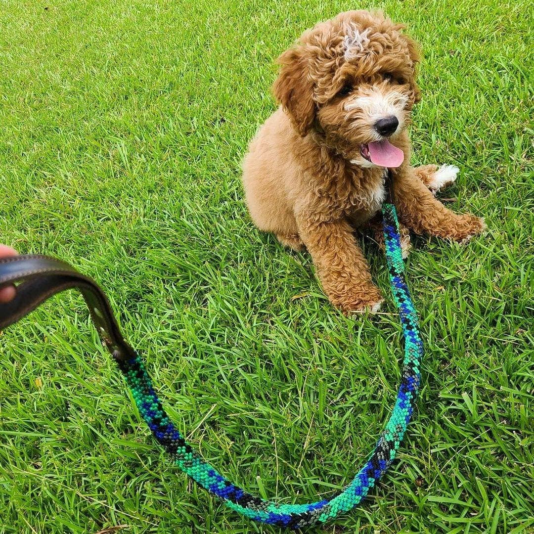 Round Dog Leash - Solid Dog Lead, Leather Dog Leash, Dog Lea: 1