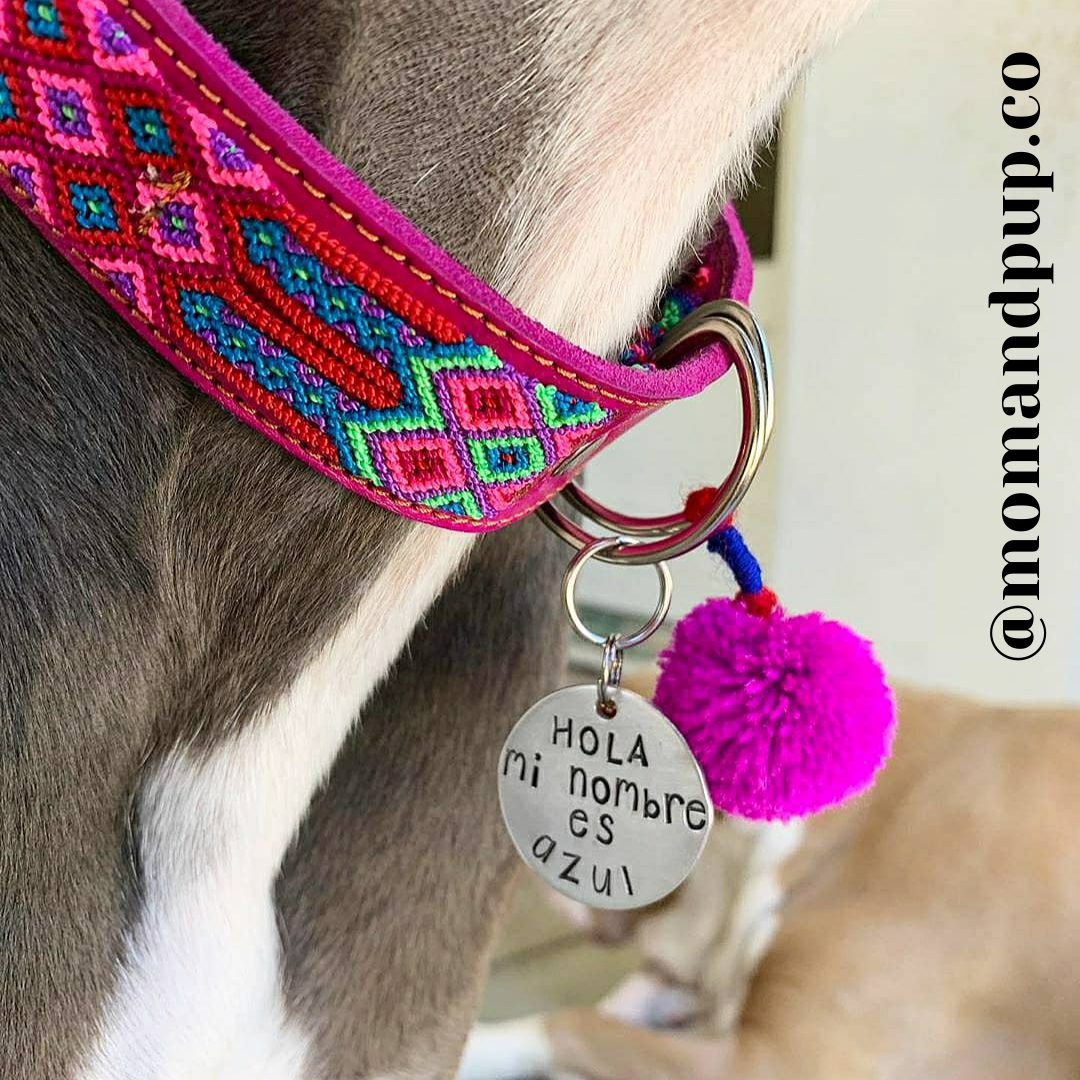 LARGE Mexican Pet Collar - Leather Dog Collar, Boho