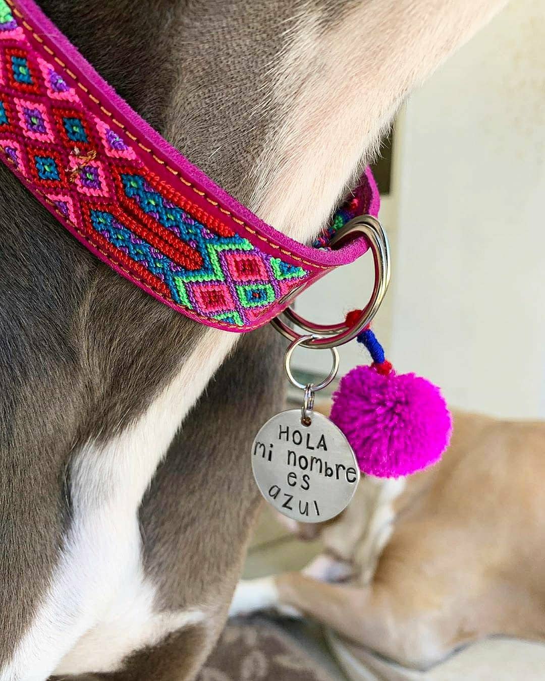 XS Mexican Pet Collar - Colorful Leather Dog Collar, Tribal