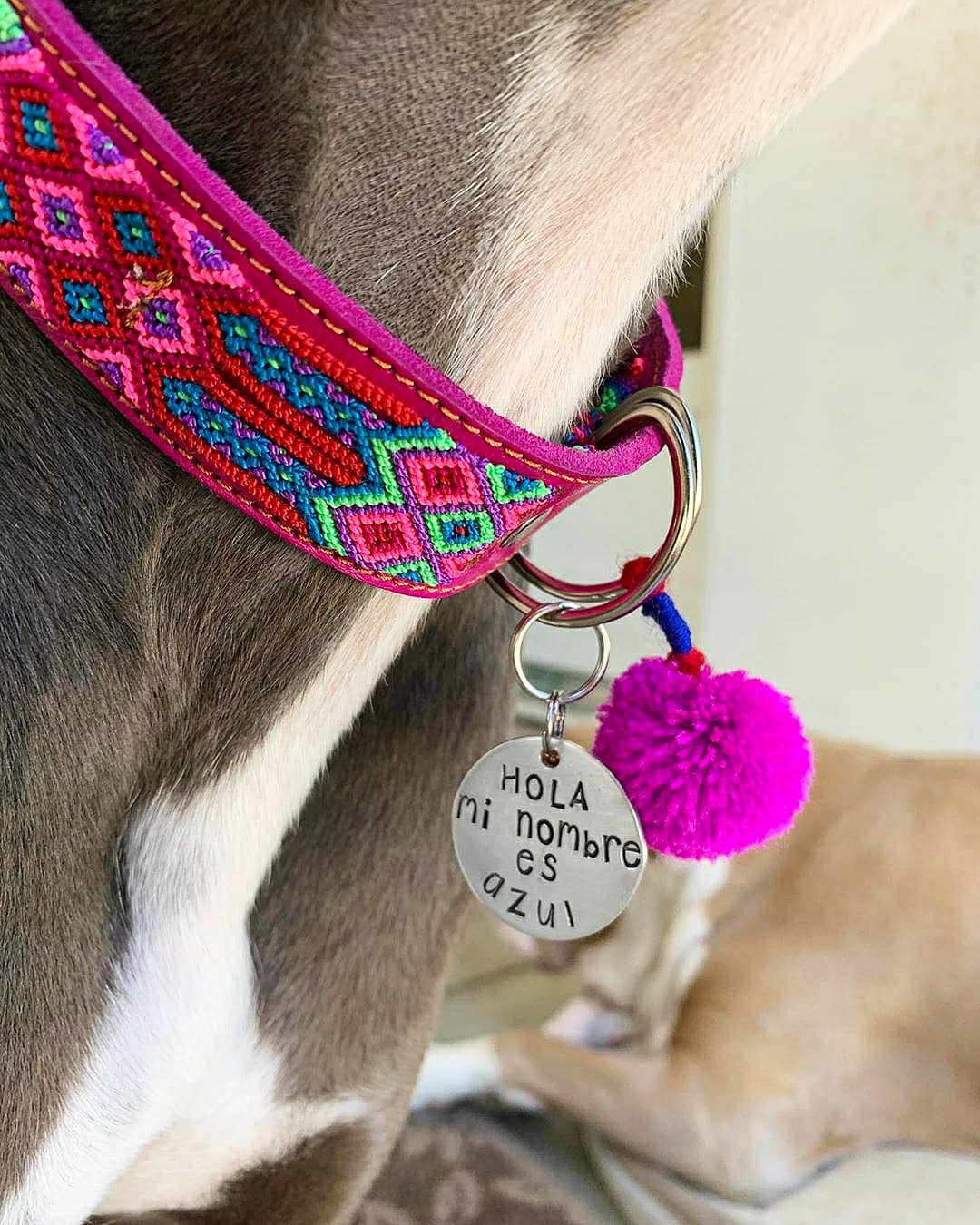 XL Mexican Pet Collar - Colorful Leather Dog Collar, Boho