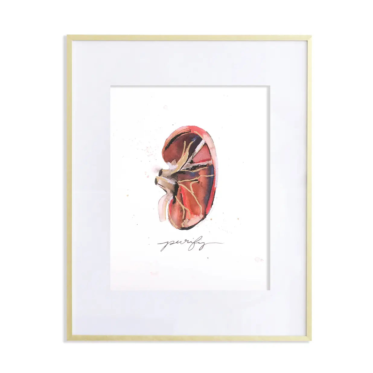 Purify Anatomical Kidney Print