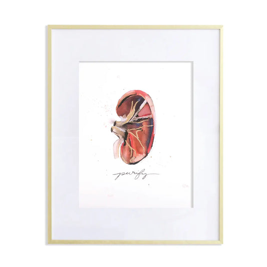 Purify Anatomical Kidney Print